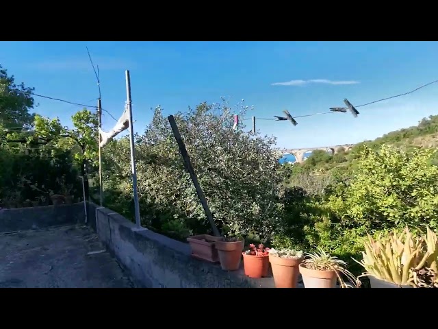 Terreno Costa Saracena