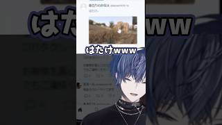 暇を持て余した農家・叶からの電話【#madtown /小柳ロウ/叶/#madtowngta /にじさんじ切り抜き】#shorts