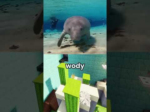 Dlaczego manaty szukają słodkiej wody w oceanie? 😱