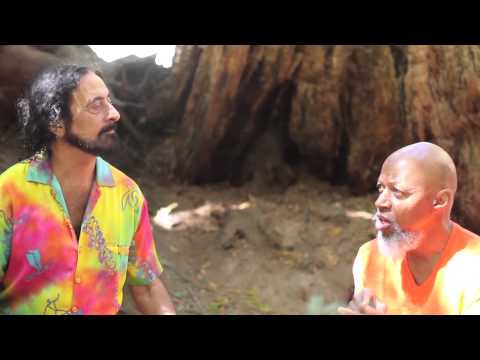 Light In The Attic Docs Presents - The Secret Of Life With Laraaji and Iasos