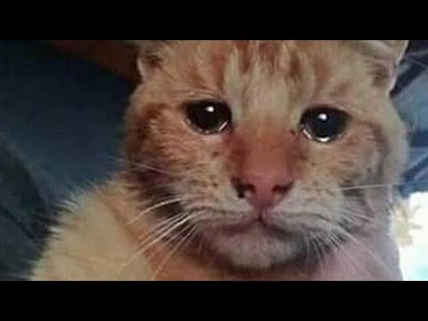 A triste rotina de uma Fanática por Futebol sem Futebol..por favor fala que você se identifica 😂⚽️❤