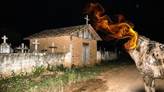 A BESTA DE FORMOSA DO RIO PRETO - BAHIA