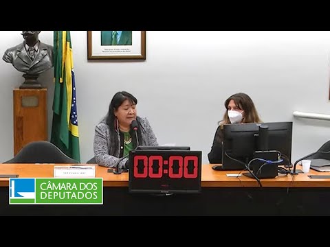 Acompanhamento da Situação dos Yanomâmis em Waikás - Audiência Pública - 06/07/2022