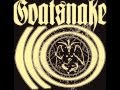 HEARTBREAKER - GOATSNAKE 