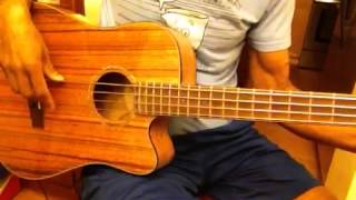 Video thumbnail for Fender Victor Bailey Acoustic Electric 4 String Bass Guitar by jsumbi