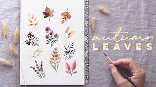 Autumn Flowers and Leaves | Mini Watercolor Florals