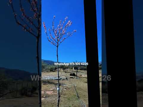 vacaciones mina clavero cordoba Argentina