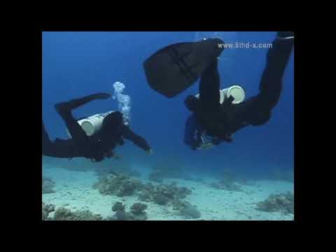 (5thD-X) Essentials Of Technical Diving (FULL)