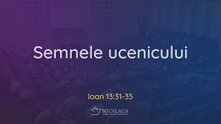 5 Noiembrie l Duminică dimineața