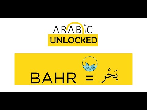 Arabic Unlocked I The Quranic Words Series I Bahr بَحْر