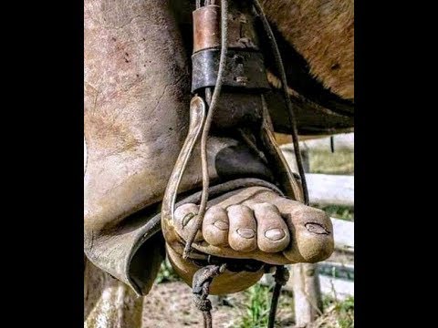 FG Asi es el LLano - José Alí Nieves