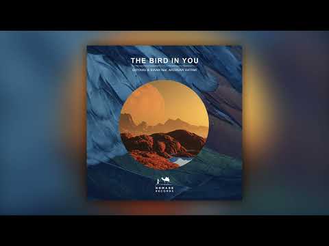 Goyanu & Siaah - The Bird In You (Original Mix) ft Ardavan Hatami