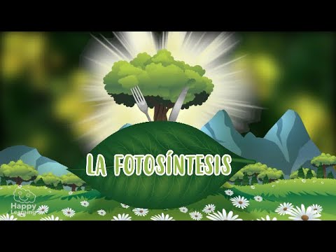 ORGANOLOGÍA VEGETAL I