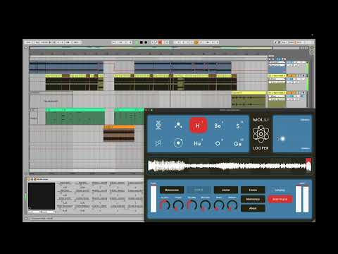 Molli Looper VST3 Ableton Live Session