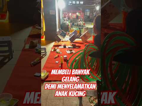 MEMBELI BANYAK GELANG UNTUK MENYELAMATKAN KUCING#shorts #kucing #kucinglucu