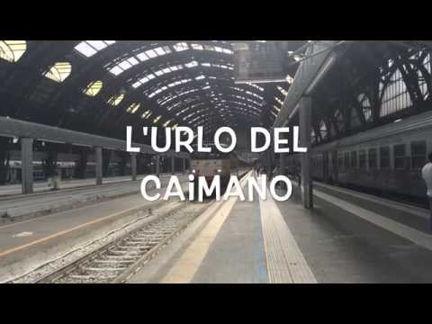 L'urlo del caimano