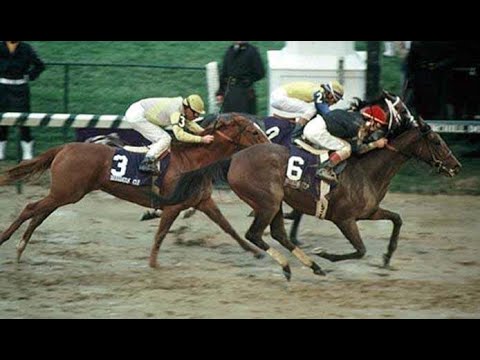 PERSONAL ENSIGN Breeders' Cup Distaff (G1) 1988