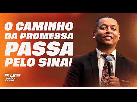 PR. CARLOS JUNIOR - THE FATE IS SEALED