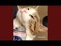 I Only Do Pushups When I M Drunk Drinking Lonely