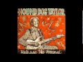 Hound Dog Taylor - The Dog meets the Wolf
