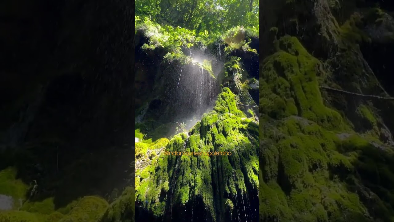 YouTube Short thumbnail