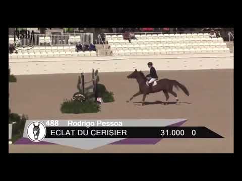 Eclat du Cerisier - Rodrigo Pessoa - Ocala 2022 - 1,40m
