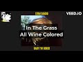 Evan Dando - In The Grass All Wine Colored [karaoke]