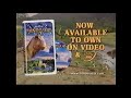 Trailer Disney S Dinosaur Release On Video And DVD 2001
