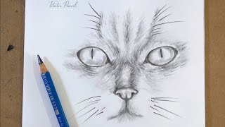 Learn to Draw REALISTIC Cat Eyes | Pencil Drawing