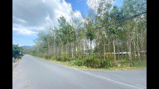 25 Rai Land Plot for Sale in an Excellent Thalang Location
