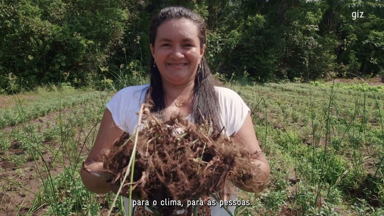 Cadeias de valor sustentáveis: Brasil e Alemanha conectam soluções