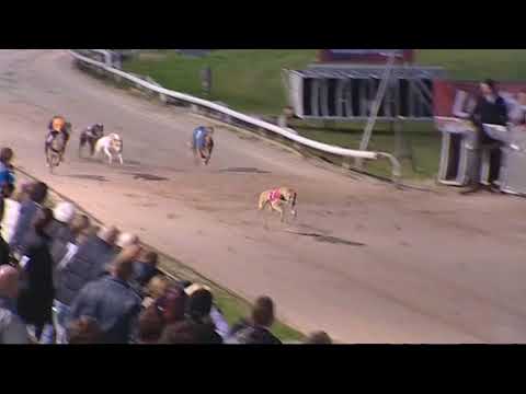 2013 SCOTTISH DERBY FINAL - T1 BALLYMAC ESKE