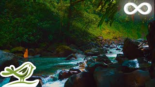 Midnight Calm: Relaxing Music & Water Sounds for Spa, Yoga, Sleep and Relaxation