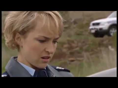 Blue Heelers - 9x37   Teamwork