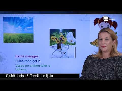 Teksti dhe fjalia| Gjuhë shqipe 3