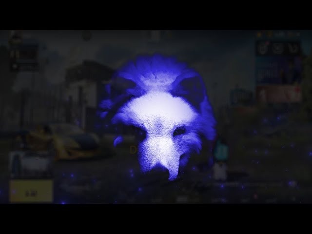 اليرت ذهبي رقم (5)