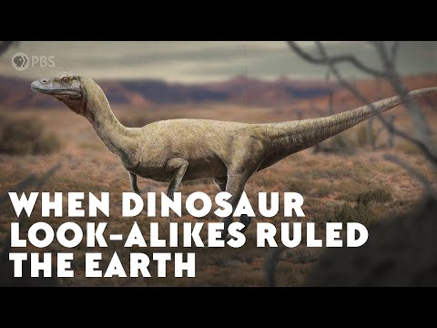 When Dinosaur Look-Alikes Ruled the Earth