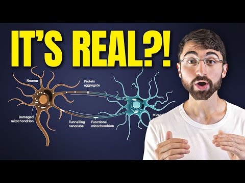 Microscopic Brain Tunnels: A Breakthrough Discovery in ...
