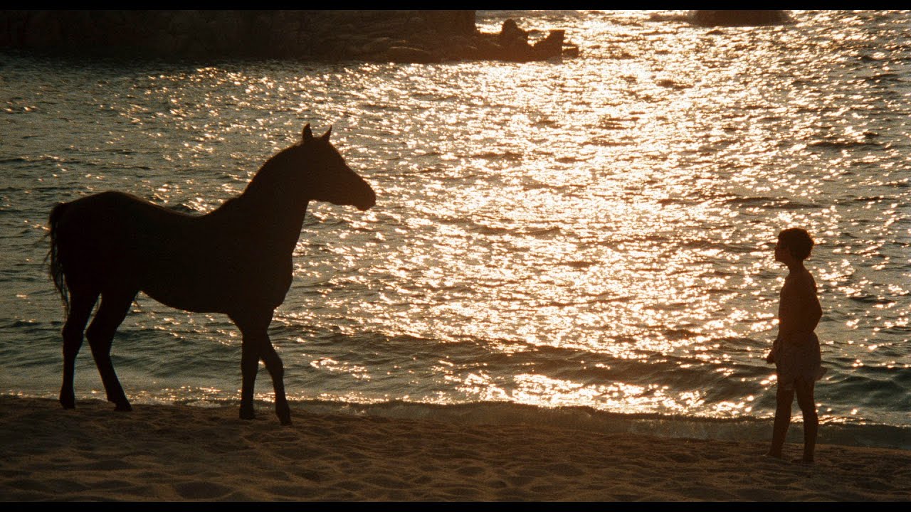 Caleb Deschanel on Filming THE BLACK STALLION