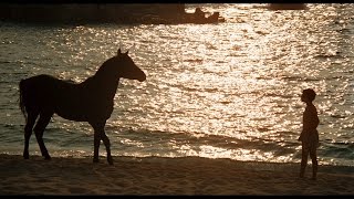 The Black Stallion (1979) Video