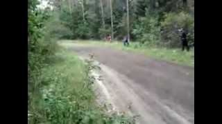 Radek Typa - TESTY / Runowo.