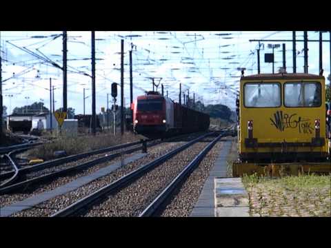 Comboio de Madeira n.º 61831/0 - Poceirão