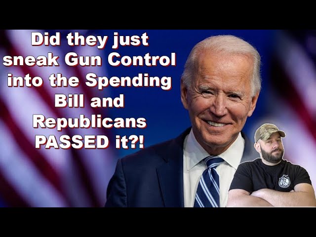 Gun Control snuck into the spending package and PASSED?!... We've got to dive into this...