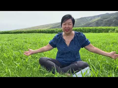 Kelly King's Vision and Impetus for the Sunflower Farm Music Fest