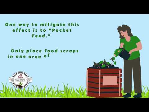 Worm Bin Pocket Feeding
