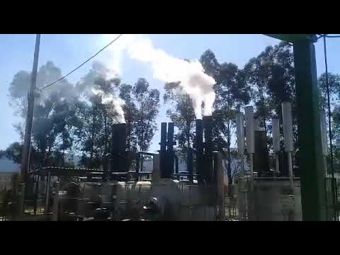 Imagem que mostra a thumbnail do vídeo