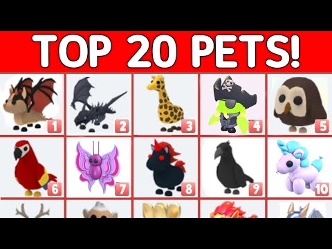 TOP 20 RAREST PETS VALUES IN ADOPT ME 2026!