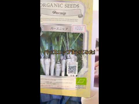 パースニップの準備: どのようなオプションがありますか? ライフスタイル