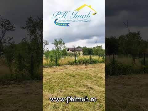 Teren Intravilan de vanzare, Campina — Video