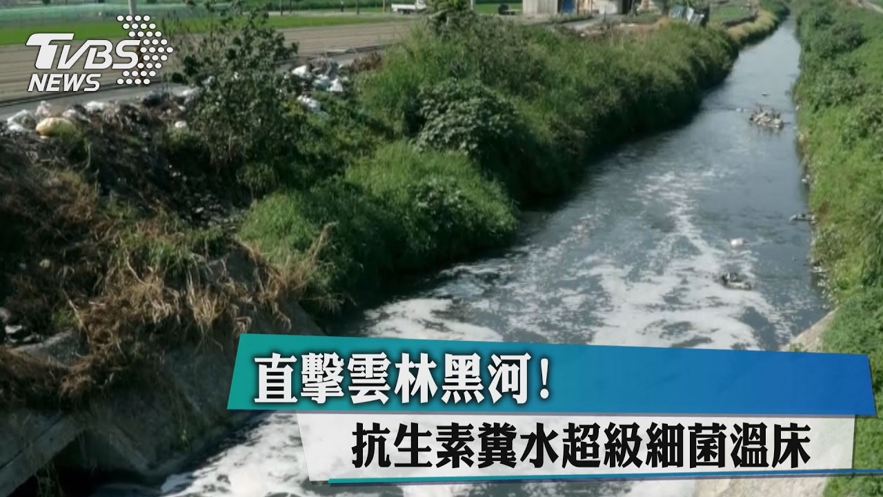 直擊雲林黑河！　抗生素糞水超級細菌溫床